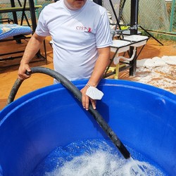 La respuesta del CISP al terremoto en Venezuela continúa Imagen 2