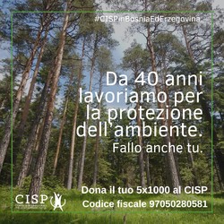 Il CISP celebra la Giornata Mondiale dell'Ambiente in Bosnia ... Immagine 1