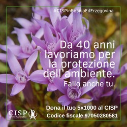 Il CISP celebra la Giornata Mondiale dell'Ambiente in Bosnia ... Immagine 3