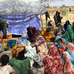 Emergency in Hodh El Chargui Image 7