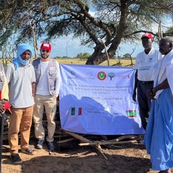 Emergency in Hodh El Chargui Image 10