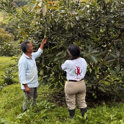 Agrocadenas Immagine 3