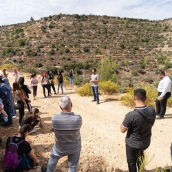 In Palestine the Walk &amp; Talk initiative lets youth gather an ... Image 4