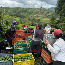 Agrocadenas Immagine 2