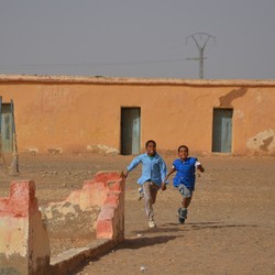Malnutrition emergency in Sahrawi Camps; 75% reduction in fo ... Image 1