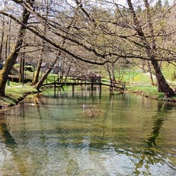 Via Delle Cascate Immagine 10