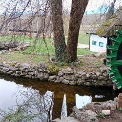 Via Delle Cascate Immagine 11