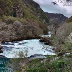 Via Delle Cascate Immagine 4