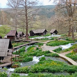 Via Delle Cascate Immagine 6