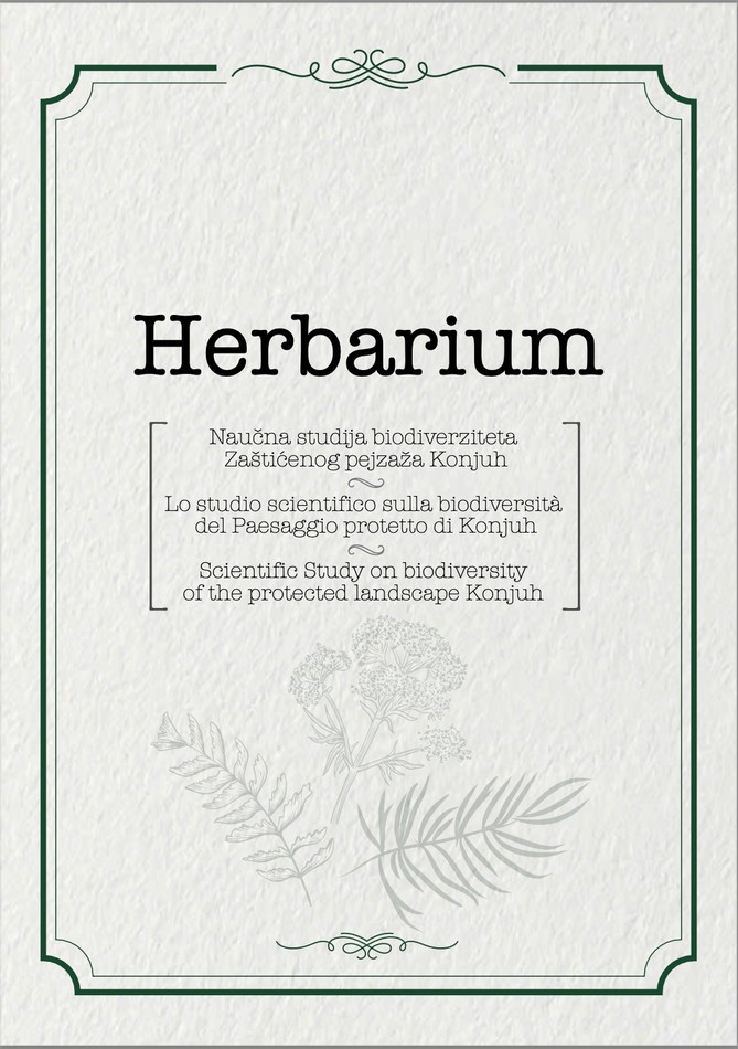 Herbarium Image 1