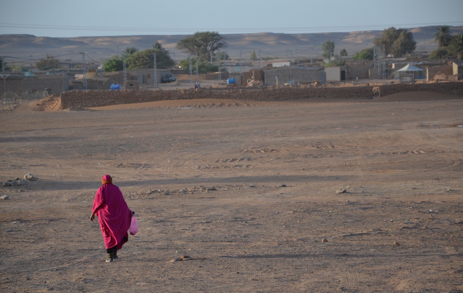 Malnutrition emergency in Sahrawi Camps; 75% reduction in fo ... Image 1